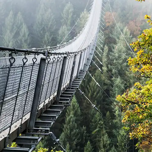 A long suspension bridge disappears into the distance over an an expanse of dense forest.