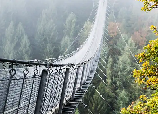 A long suspension bridge disappears into the distance over an an expanse of dense forest.